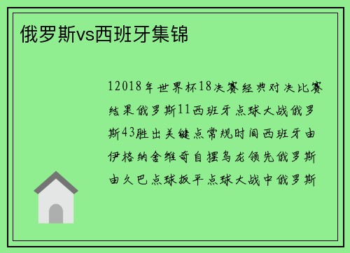 俄罗斯vs西班牙集锦